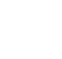 Royal Impact Logo